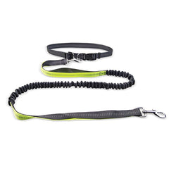 Dog Walking Belt with Detachable Shockproof Leash - Priceless Collect LLC
