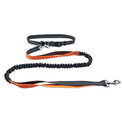 Dog Walking Belt with Detachable Shockproof Leash - Priceless Collect LLC
