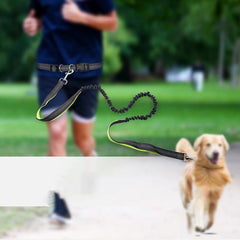 Dog Walking Belt with Detachable Shockproof Leash - Priceless Collect LLC