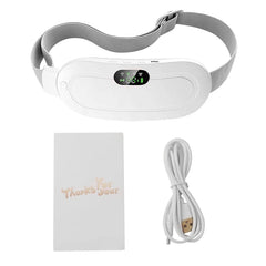 Electric Heating Pad & Massager - Priceless Collect LLC