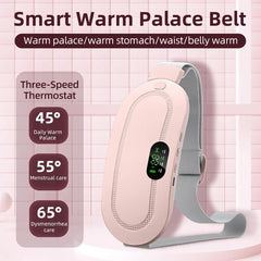 Electric Heating Pad & Massager - Priceless Collect LLC