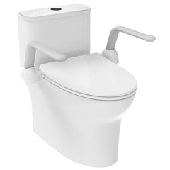 Foldable Toilet Support Handle for Elderly Safety - Priceless Collect LLC