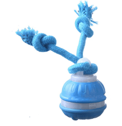 Interactive Pet Rolling Ball Toy USB Rechargeable - Priceless Collect LLC