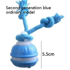 Interactive Pet Rolling Ball Toy USB Rechargeable - Priceless Collect LLC