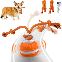 Interactive Pet Rolling Ball Toy USB Rechargeable - Priceless Collect LLC