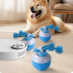 Interactive Pet Rolling Ball Toy USB Rechargeable - Priceless Collect LLC