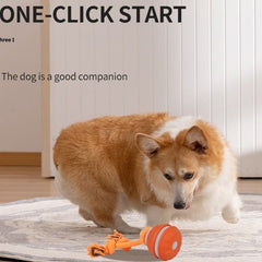 Interactive Pet Rolling Ball Toy USB Rechargeable - Priceless Collect LLC