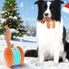 Interactive Pet Rolling Ball Toy USB Rechargeable - Priceless Collect LLC