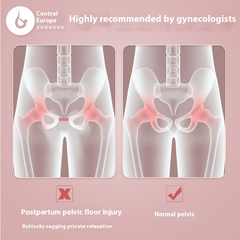 Pelvic Floor Muscle Trainer - Priceless Collect LLC