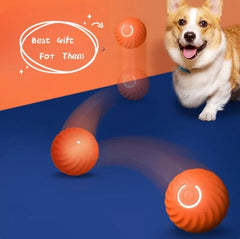 Pet Dog Rubber Ball Toys For Dogs - Priceless Collect LLC