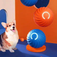 Pet Dog Rubber Ball Toys For Dogs - Priceless Collect LLC