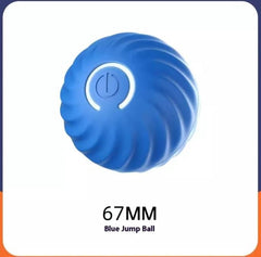 Pet Dog Rubber Ball Toys For Dogs - Priceless Collect LLC
