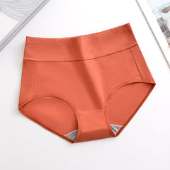 Plus Size Hip-Lifting Underwear for Autumn and Winter - Priceless Collect LLC