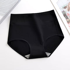 Plus Size Hip-Lifting Underwear for Autumn and Winter - Priceless Collect LLC