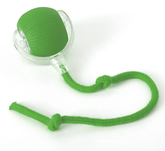 PurrPlay Self-Rolling Cat Toy Ball - Priceless Collect LLC