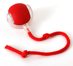 PurrPlay Self-Rolling Cat Toy Ball - Priceless Collect LLC