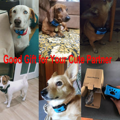 Ultrasonic Anti-Bark Dog Training Collar - Priceless Collect LLC